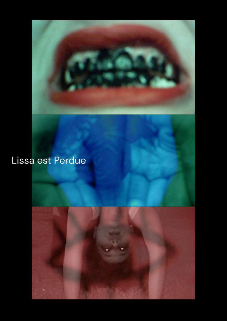 Imatge de Lissa Est Perdue