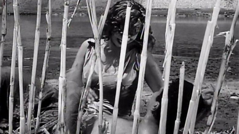 Image d'arrière-plan 2 du film صراع في النيل