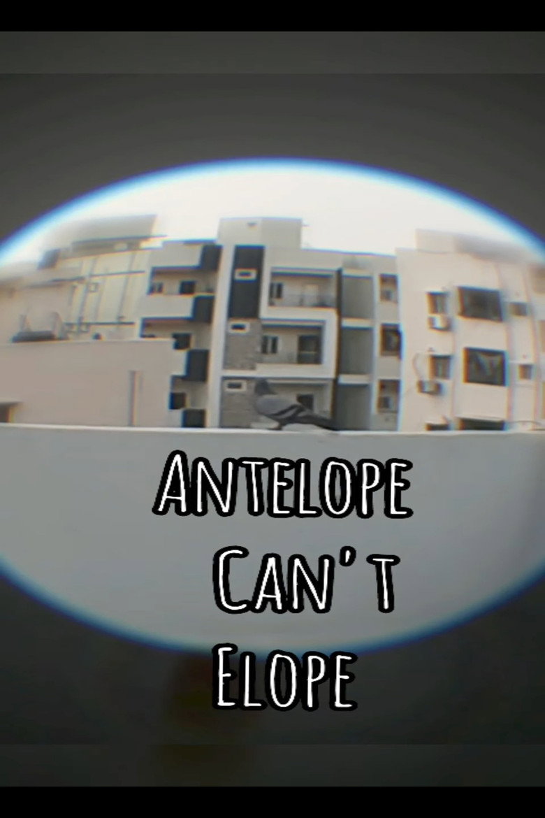 Imatge de Antelope can't Elope