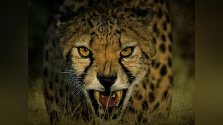 Still image for Wild Assassins season 1 episode 3: Stealth