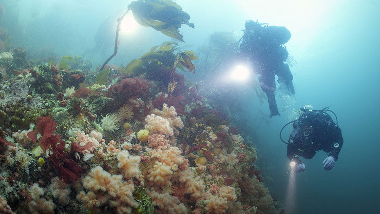 Still image for Descending season 1 episode 4: The Emerald Sea Still image for Descending season 1 episode 4: The Emerald Sea