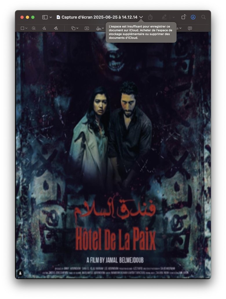 Hôtel de la Paix main poster