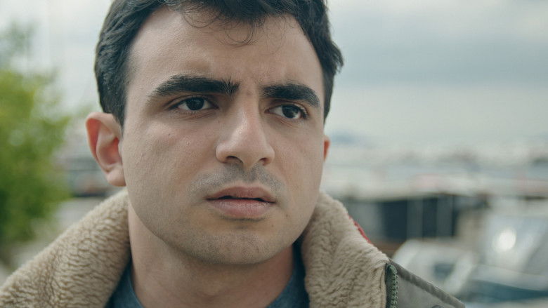 Imatge de The Supplement