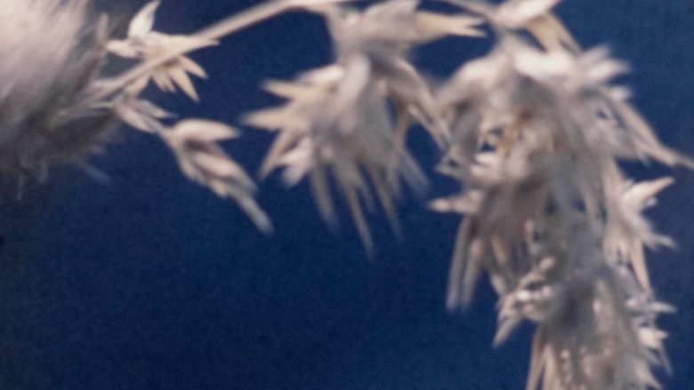 Gallery image from dOVixKNVoqXCDcMrTJiKjNyDWzA.jpg