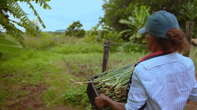 Gallery image from dOXS4ZiRB5jnOHicvo9jnKxeBS9.jpg