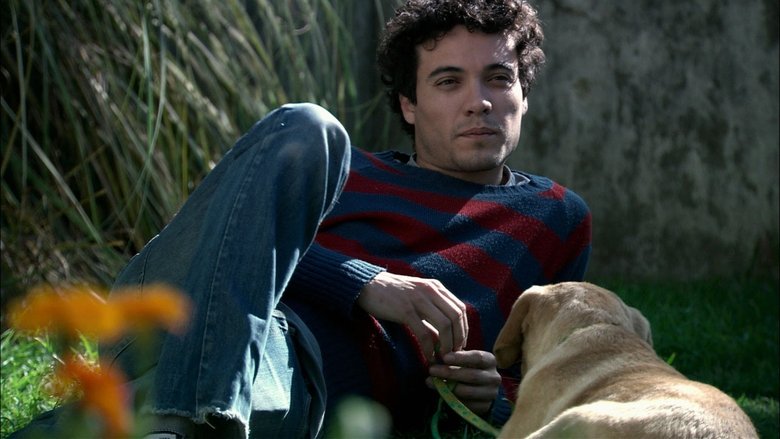 Leo's Room (2010)