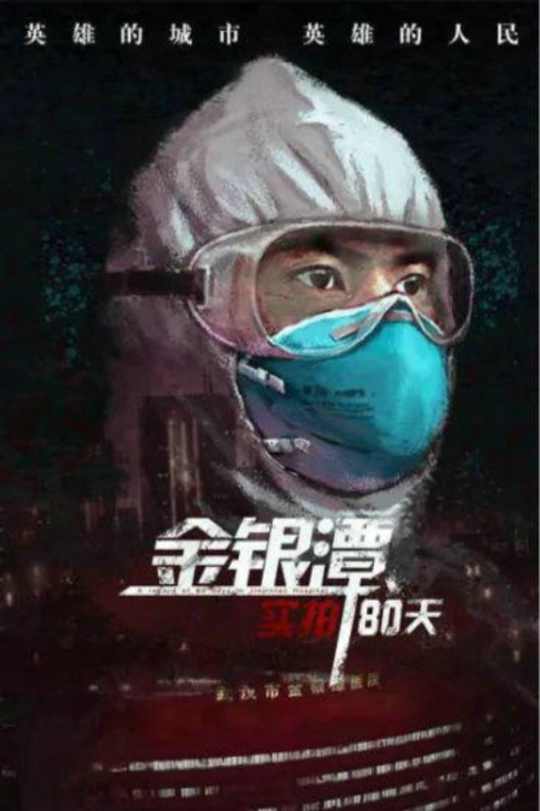 实金 封面海报