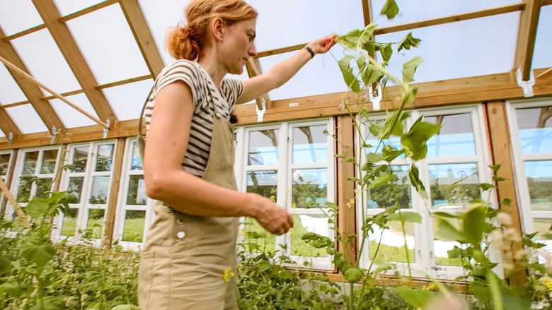 Still image for Draumen om eit småbruk season 1 episode 4: Episode 4