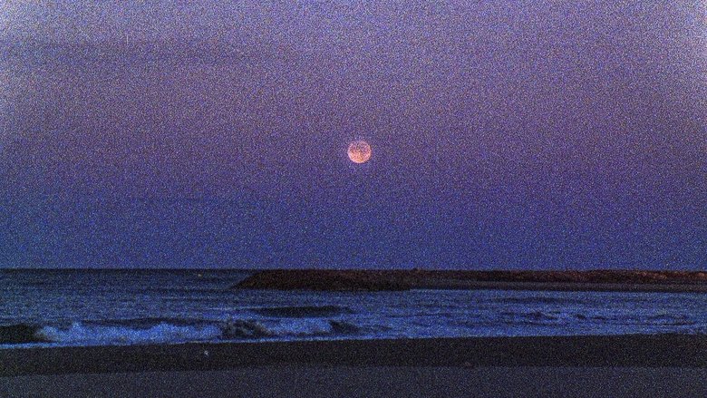 Gallery image from dPJeqGYHrEpUZ9Up6V6pIcjNpcM.jpg