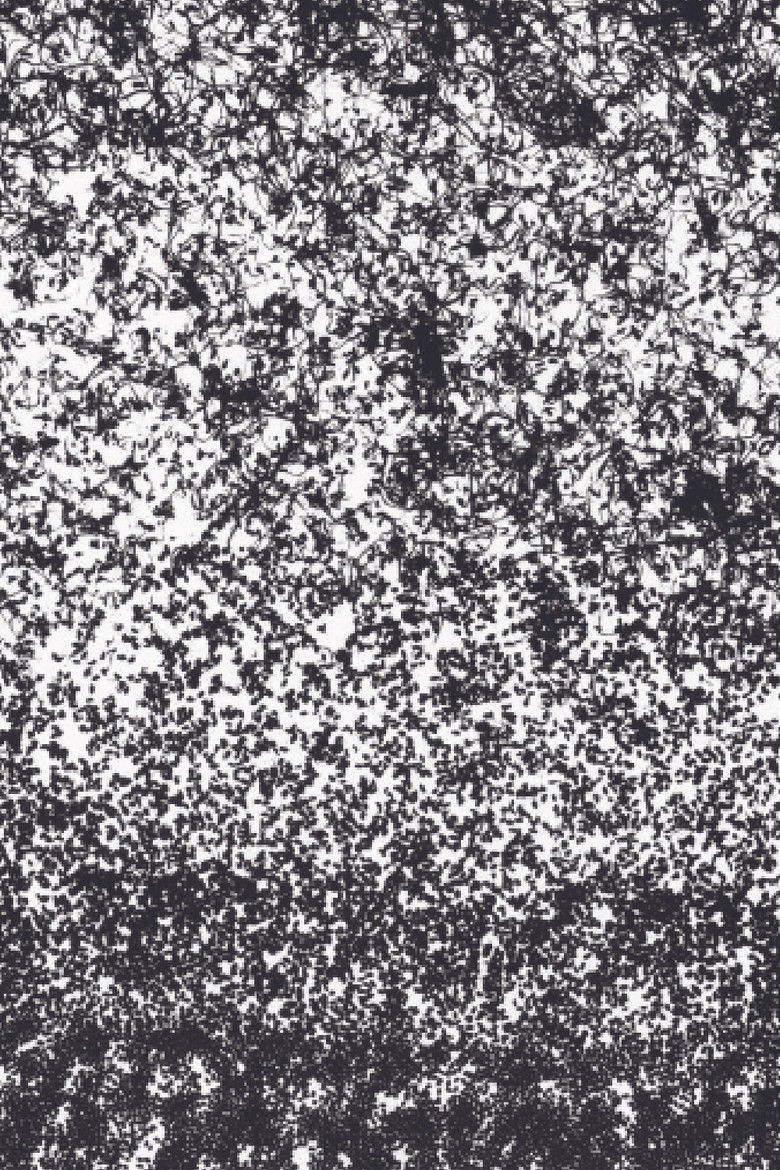 Imatge de Just Sprouts