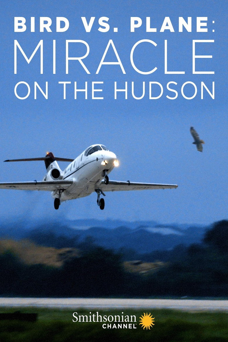 Bird vs. Plane: Miracle on the Hudson poster