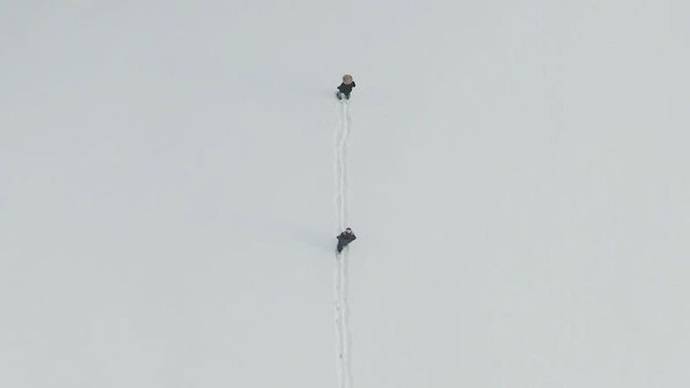 The Basket of Cherries