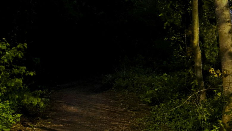 Gallery image from dQ2zJmFDURxlEcnN7Ff0IeVi1ST.jpg