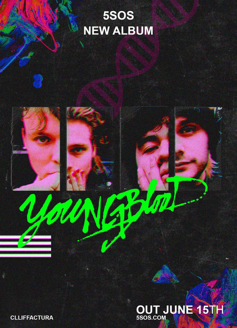 Imatge de 5 Seconds of Summer Live: On the Record