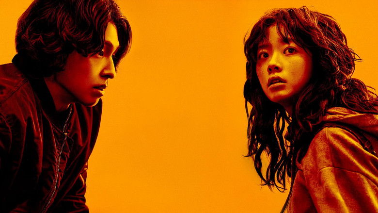 Image d'arrière-plan 2 du film Concrete Market