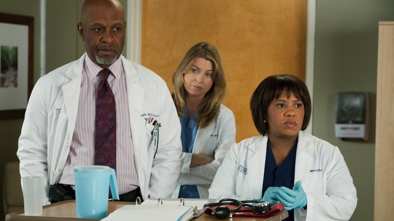 Grey's Anatomy Saison 8 Episode 12 Streaming