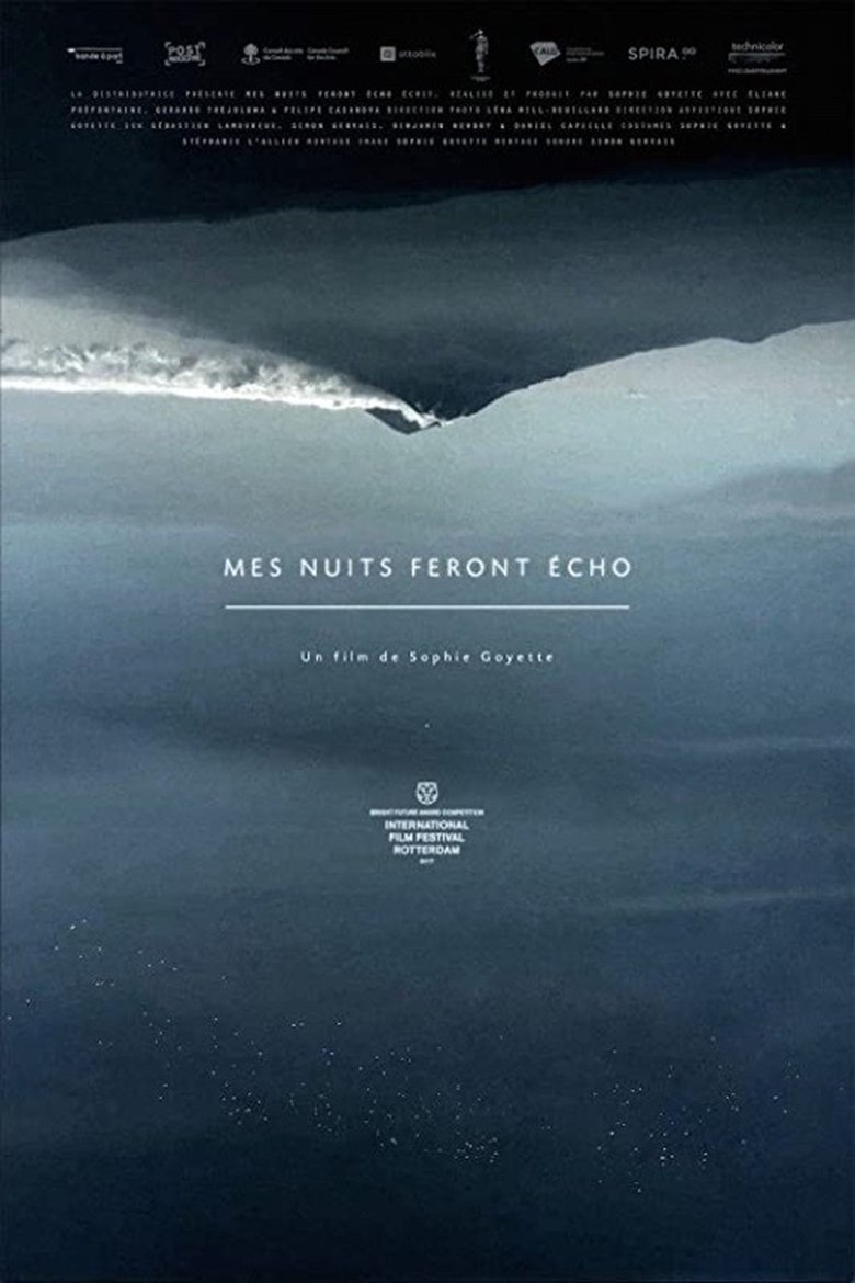 Still Night, Still Light main poster