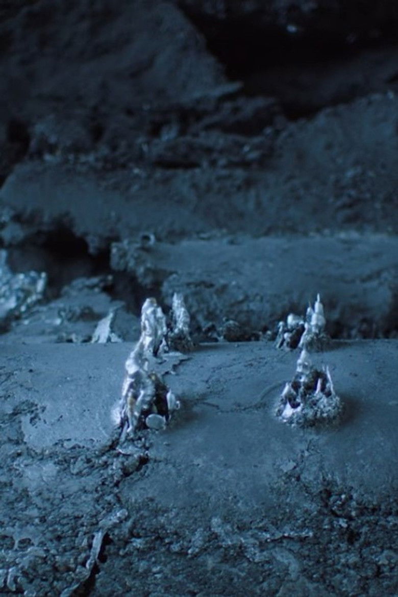 Imatge de Merging Bodies