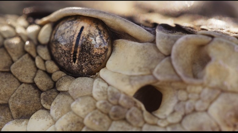 The American Southwest (2025)