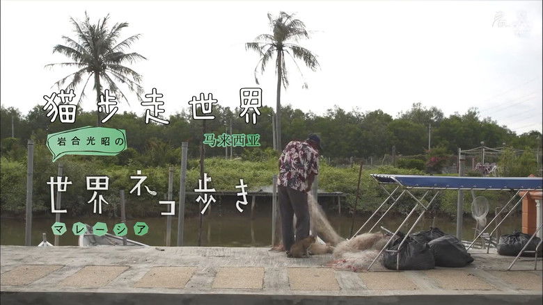 Still image for Mitsuaki Iwago's World “Cats” Travelogue season 1 episode 25: Malaysia Still image for Mitsuaki Iwago's World “Cats” Travelogue season 1 episode 25: Malaysia