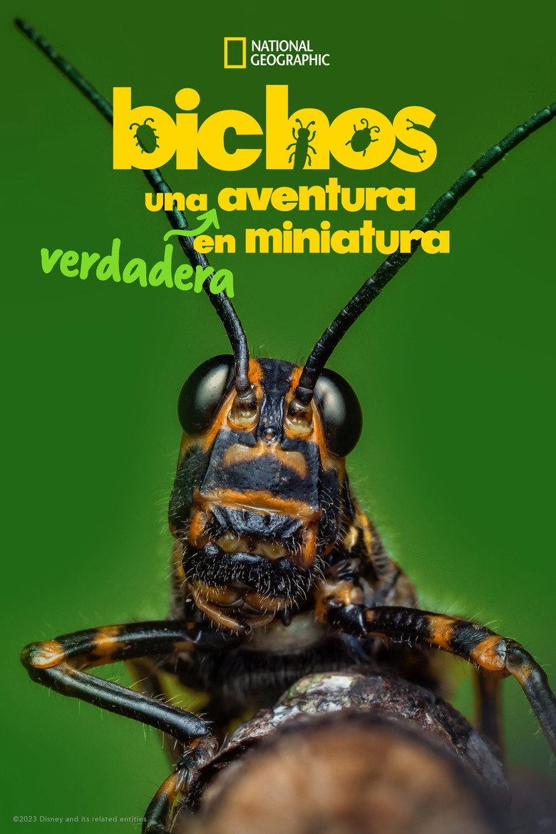 Póster la Serie