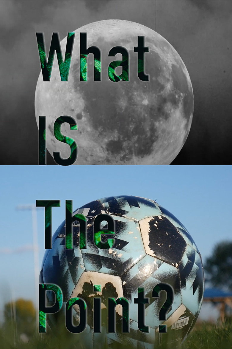 Imatge de What is the Point?