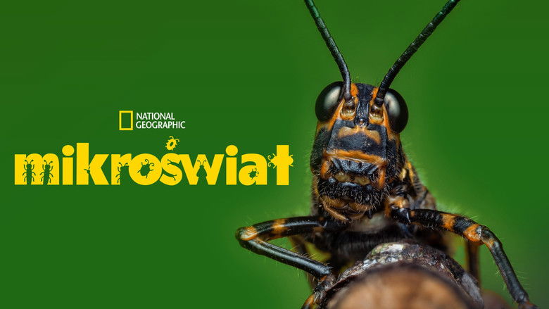 Gallery image from dTHZSmXg8ItiGLaCDDedI2PnpxD.jpg