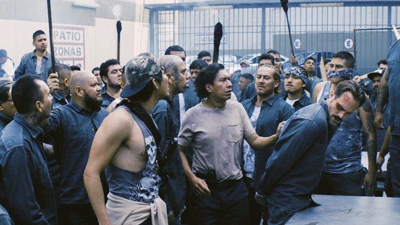 Still image for Preso No. 1 season 1 episode 14: Episode 14 Still image for Preso No. 1 season 1 episode 14: Episode 14