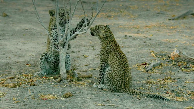 Still from Savage Kingdom - Season 4 Episode 6