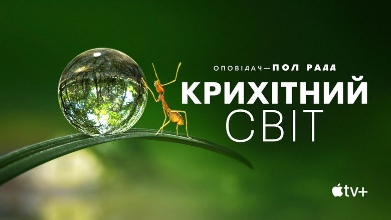 Gallery image from dVHT2mbZM61QshdkkkNFU2VDg1H.jpg