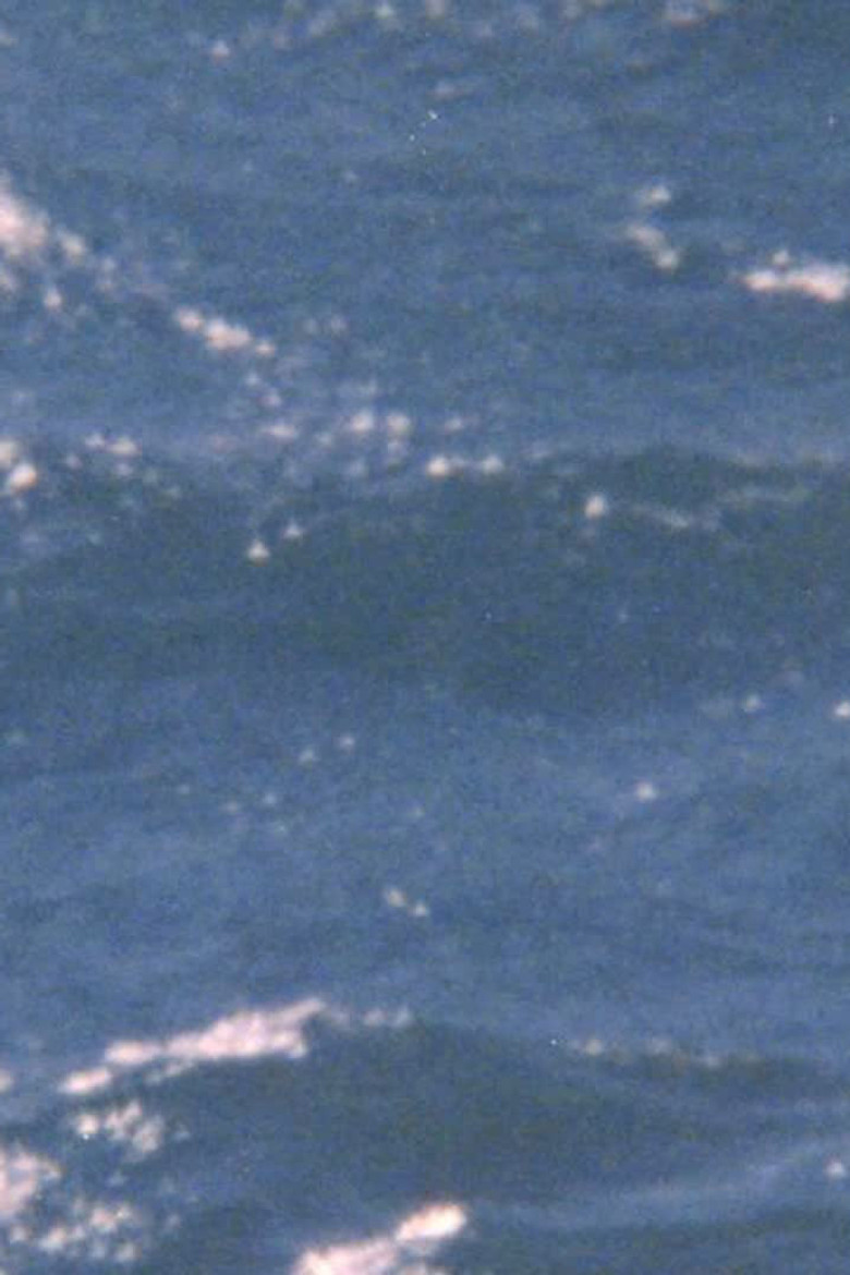 The possibility of being sea