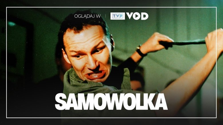 Gallery image from dXYRTN3ODH9mfVvo6e52JjMz6uu.jpg