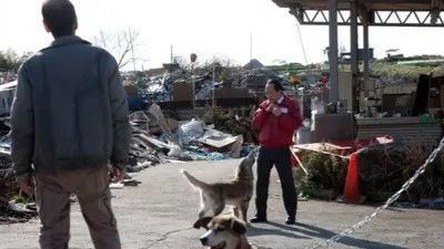 Still image for 犬飼さんちの犬 season 1 episode 3: Episode 3