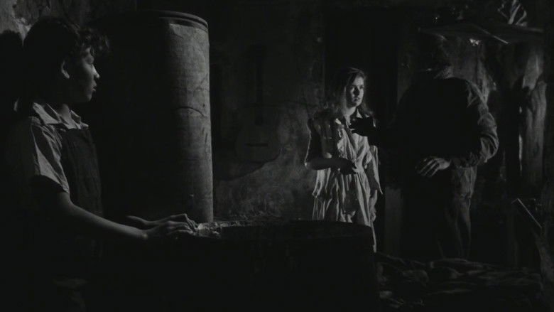 Imatge de Els oblidats