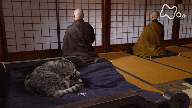 Still image for Mitsuaki Iwago's World “Cats” Travelogue season 1 episode 105: Yamagata Still image for Mitsuaki Iwago's World “Cats” Travelogue season 1 episode 105: Yamagata