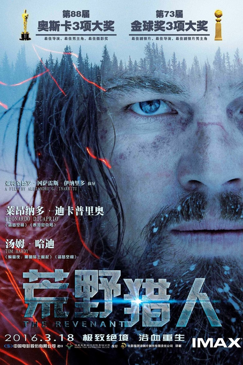 荒野猎人 (2015)
