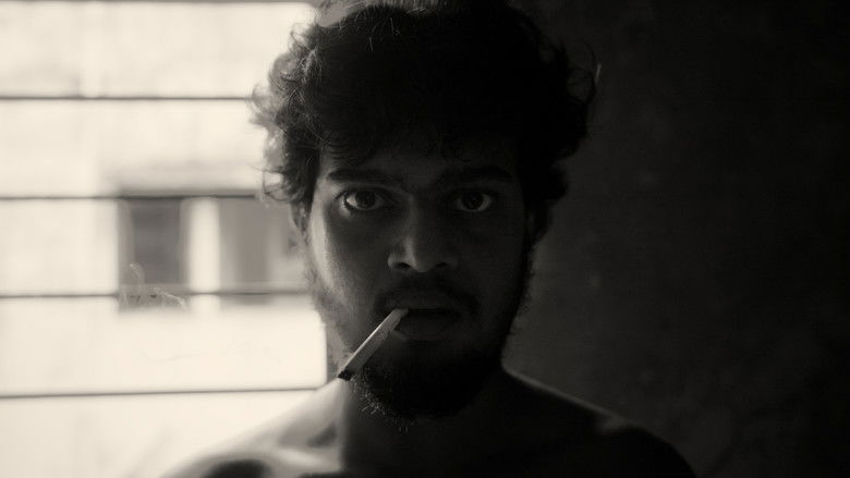 Imatge de A Fly Floating In The Midst Of The Milk