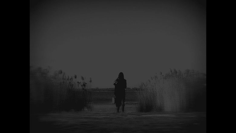 Imatge de Ultima Noapte