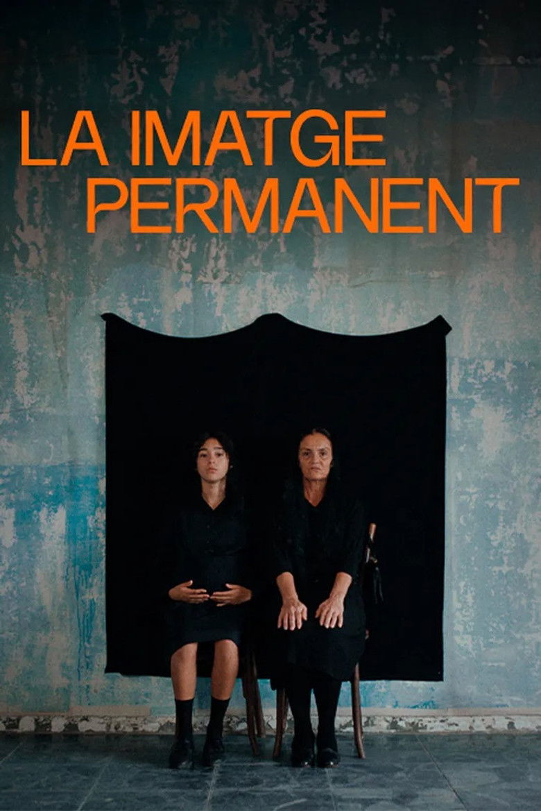 Imatge de La imatge permanent