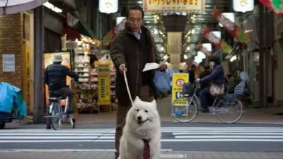 Still image for 犬飼さんちの犬 season 1 episode 7: Episode 7