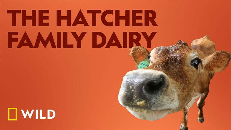 Da75jfkypd3btczlpeww5evwc8q