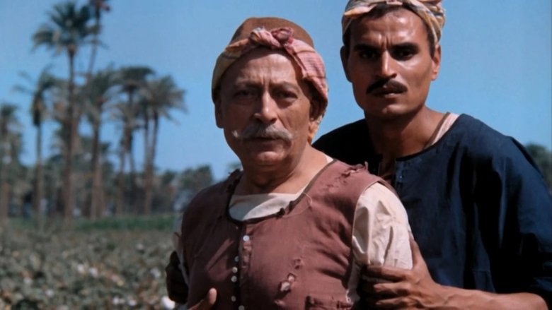 Gallery image from daBU31n0MFVRU2ViimjDV88IkO5.jpg