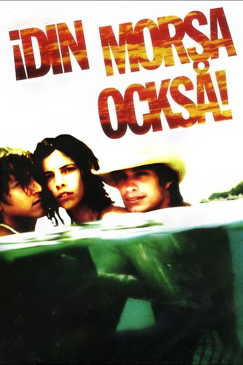 posters 13