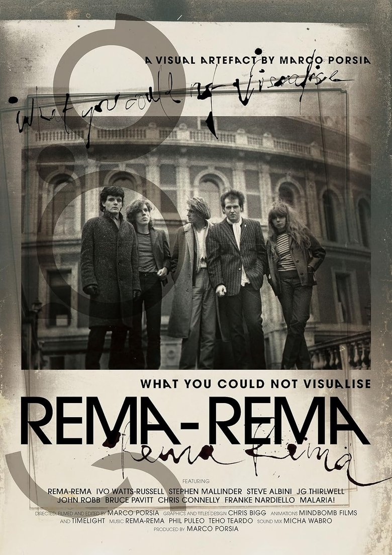 What You Could Not Visualise main poster