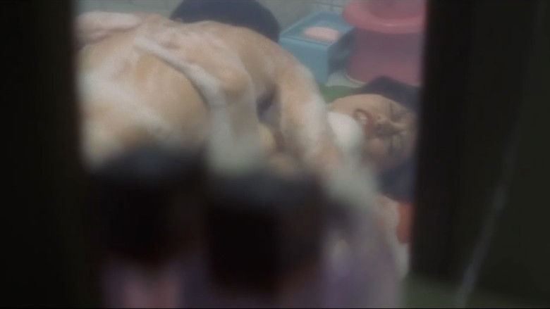 Image d'arrière-plan 4 du film 団地妻　忘れ得ぬ夜