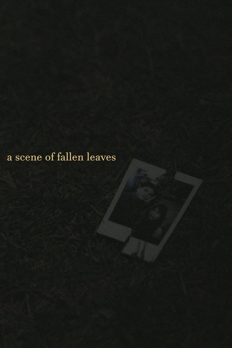 Imatge de a scene of fallen leaves