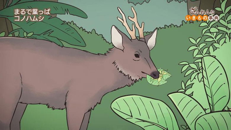 Still image for Encyclopedia of Pitiful Creatures season 1 episode 30: Episode 30