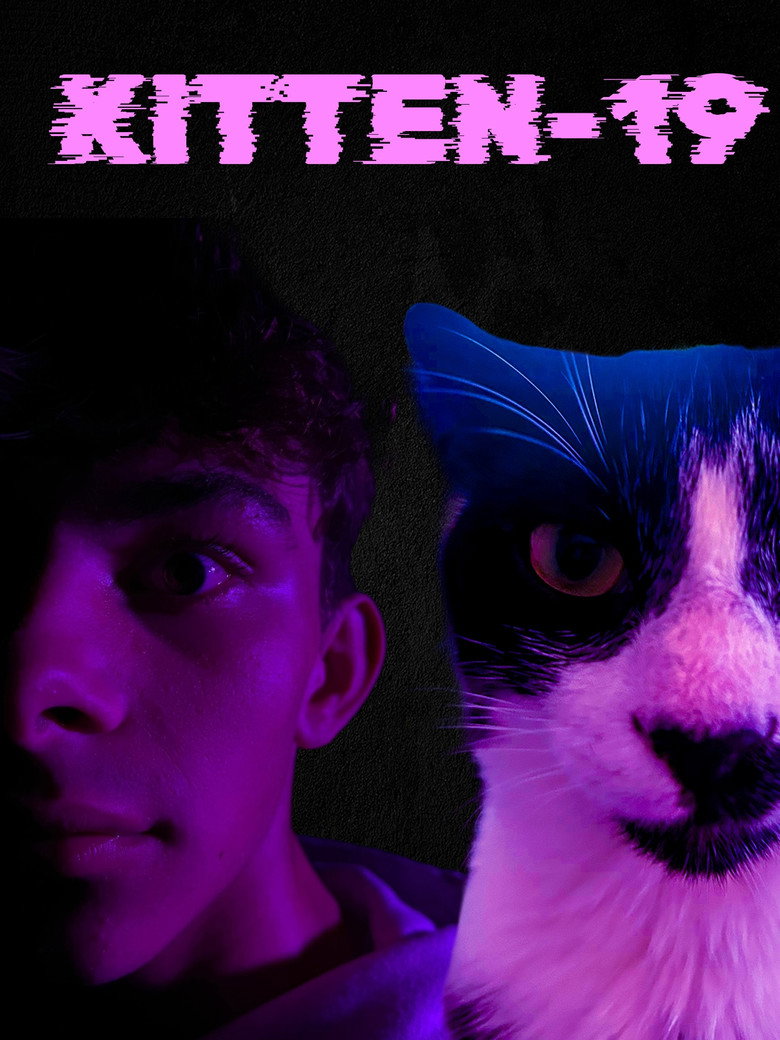 Imatge de Kitten-19