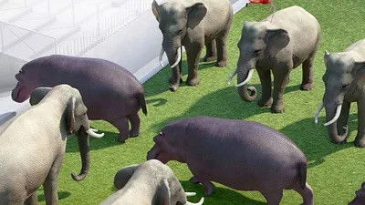 Still image for Athleticus season 1 episode 17: Episode 17