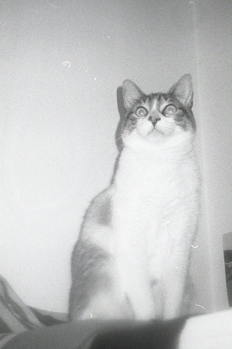 Jones